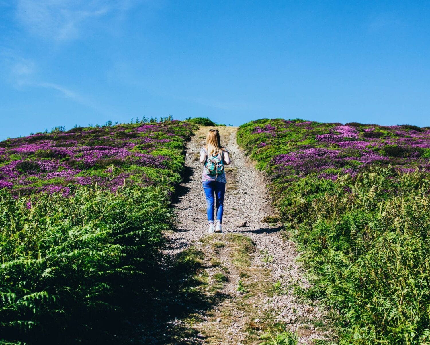 woman-walking-alone-in-between-purple-flower-field-1187005@2x