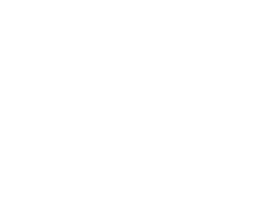 the-bear-logo